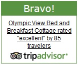 TripAdvisor Bravo Award