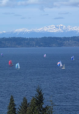 sailboats